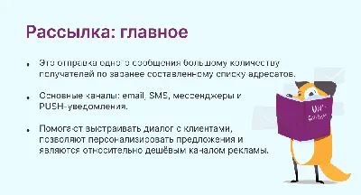 Email рассылки, из которых можно черпать вдохновение