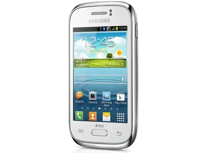 Купить Samsung DuoS SGH-D780 за 9 900 р. с доставкой в интернет магазине