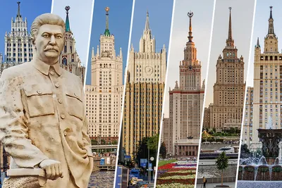 Семь сестер. Сестра солнца | Райли Люсинда - купить с доставкой по выгодным  ценам в интернет-магазине OZON (880738695)