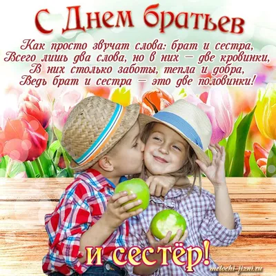 Пропавшая сестра семь сестер TOM7 Люсинда Райли - Vroda