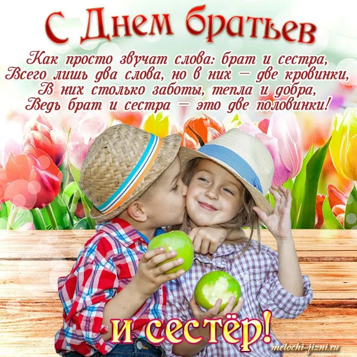 Пропавшая сестра семь сестер TOM7 Люсинда Райли - Vroda Пропавшая сестра семь сестер TOM7 Люсинда Райли - Vroda