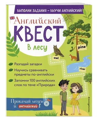 International House Minsk - Степени сравнения прилагательных: Качественные  прилагательные в английском языке имеют три степени сравнения:  положительную, сравнительную и превосходную. Положительная степень (The  Positive Degree) обозначает качество ...