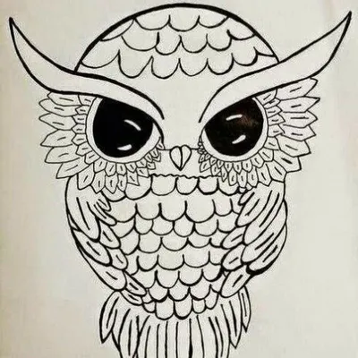 Owl. Совушка. PNG. | Рисунки совы, Плюшевая сова, Узоры с совой