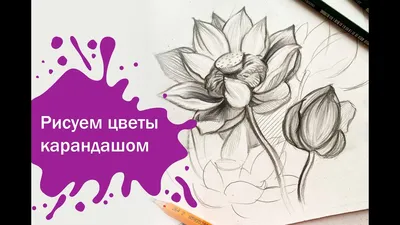 Легкие цветы акварелью