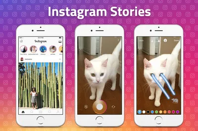 Instagram introduces new Candid Stories, Notes, Group Profiles features;  all you need to know - BusinessToday