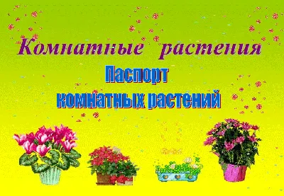 Стенд Уголок природы с карточками Семицветик - купить с доставкой по  выгодным ценам в интернет-магазине OZON (955736943)