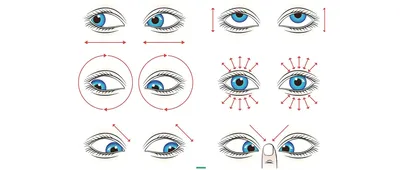 Гимнастика для глаз: 10 лучших упражнений | РБК Стиль