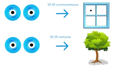 Гимнастика для глаз школьника, глазные упражнения для первоклассников