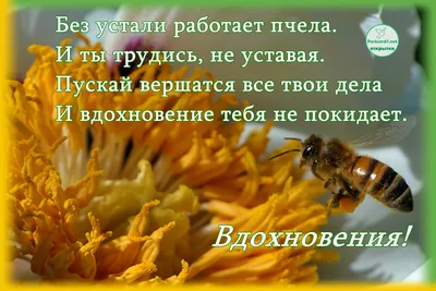 Источники вдохновения.