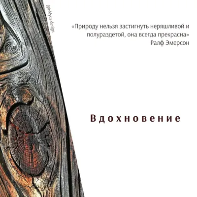 Книга вдохновения. Сезонные рецепты, стиль и идеи домашнего декора на  каждое время года Дарья Левина - купить книгу Книга вдохновения. Сезонные  рецепты, стиль и идеи домашнего декора на каждое время года в