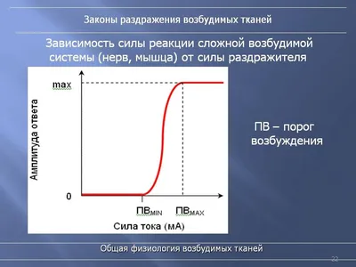 Чувство Возбуждения — стоковые фотографии и другие картинки Женщины -  Женщины, Только одна женщина, Афроамериканская этническая группа - iStock