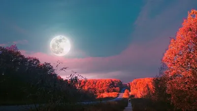 Крутые обои на комп - 68 фото