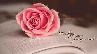Обои \"Космос\" на рабочий стол, скачать бесплатно лучшие картинки Космос на  заставку ПК (компьютера) | mob.org