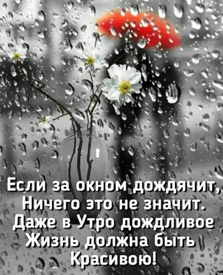 Картинки, открытки “С добрым дождливым утром!”: красивые, с надписью,  прикольные, скачать бесплатно