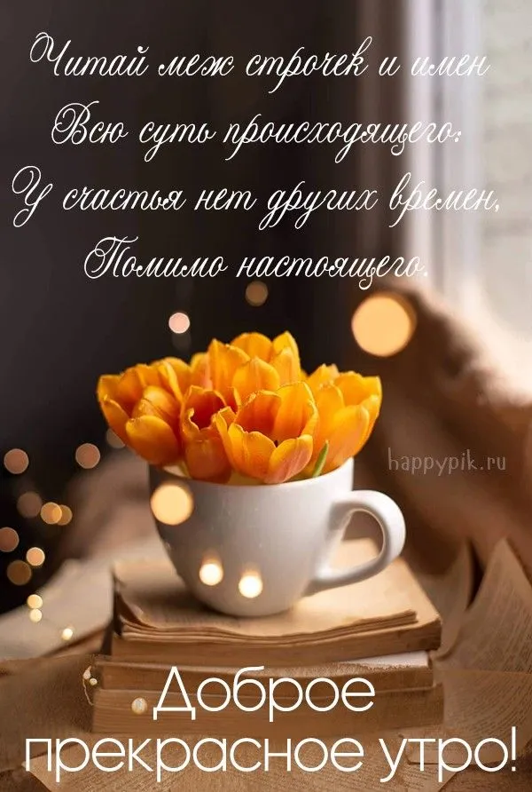 Картинки хорошего дня и отличного настроения. Пожелайте близким доброго утра и хорошего дня. Откравьте открытку с добрыми … | Картинки, Открытки, Утренняя мотивация Картинки хорошего дня и отличного настроения. Пожелайте близким доброго утра и хорошего дня. Откравьте открытку с добрыми … | Картинки, Открытки, Утренняя мотивация
