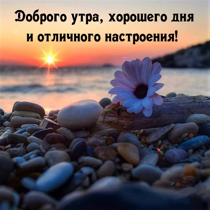Вдохновение ДУШИ - С ДОБРЫМ УТРОМ, МОИ ДОРОГИЕ!!! Желаю хорошего дня, отличного настроения! Пусть вашими спутниками сегодня будет большая удача и везение! Будьте счастливы и берегите себя! | Facebook Вдохновение ДУШИ - С ДОБРЫМ УТРОМ, МОИ ДОРОГИЕ!!! Желаю хорошего дня, отличного настроения! Пусть вашими спутниками сегодня будет большая удача и везение! Будьте счастливы и берегите себя! | Facebook