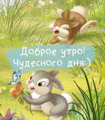 Картинки \"С Добрым Утром и Хорошего Дня!\" (256 шт.)