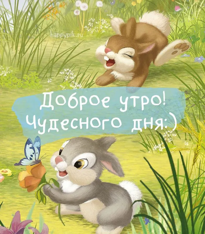 Картинки \"С Добрым Утром и Хорошего Дня!\" (256 шт.) Картинки \"С Добрым Утром и Хорошего Дня!\" (256 шт.)