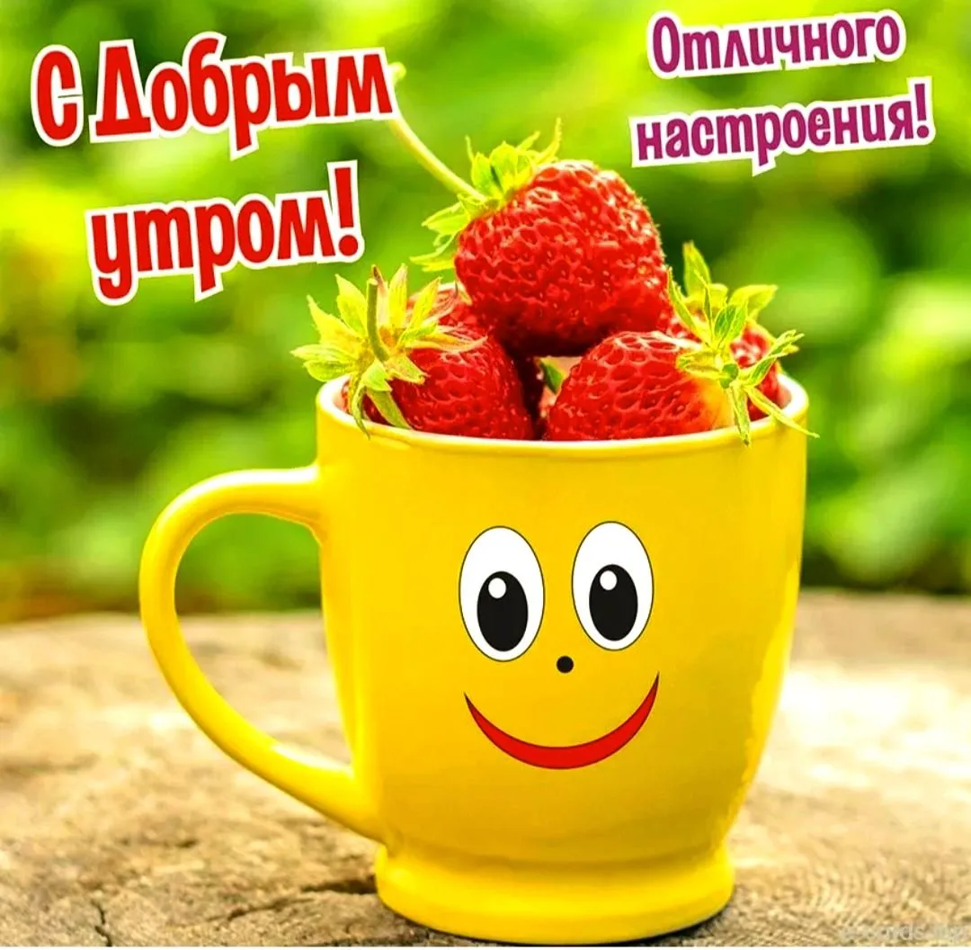 Картинка - Доброе утро хорошего дня и прекрасного настроения Картинка - Доброе утро хорошего дня и прекрасного настроения
