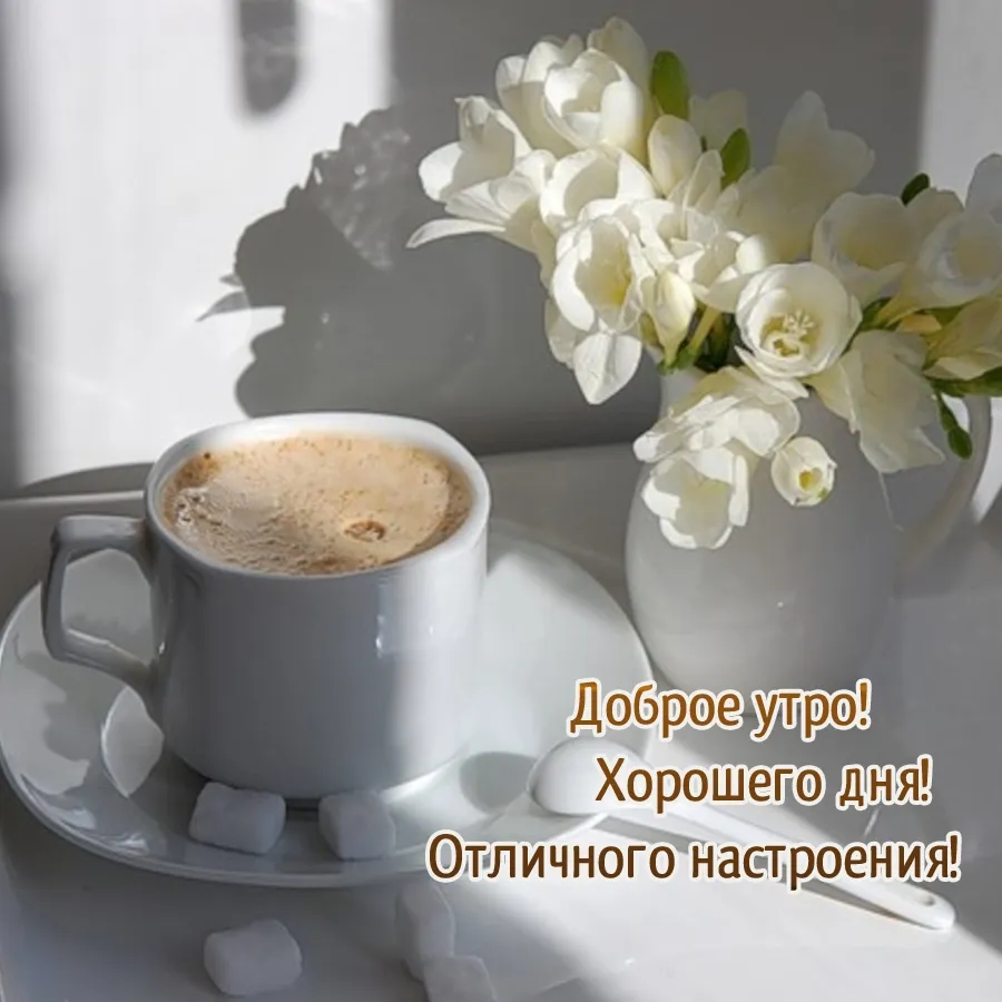 Картинки \"С Добрым Утром! Хорошего дня!\" (355 шт.) Картинки \"С Добрым Утром! Хорошего дня!\" (355 шт.)