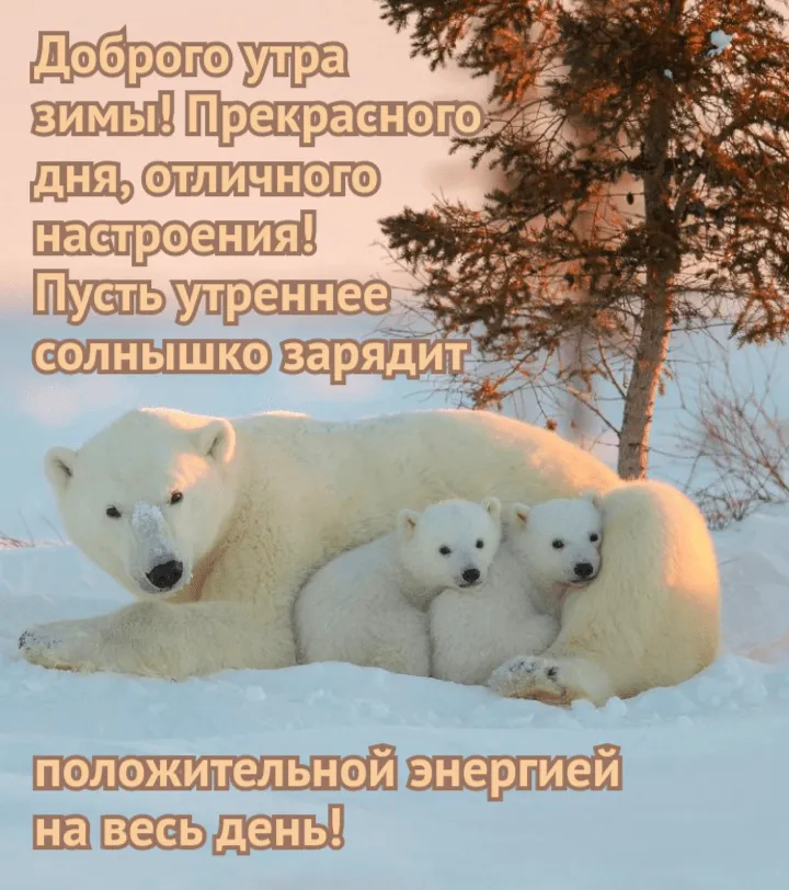 Открытки с пожеланиями удачного дня - 75 фото Открытки с пожеланиями удачного дня - 75 фото