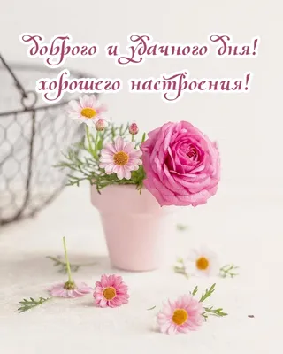 С Добрым Утром!🌺Хорошего Дня и Отличного Настроения! Сергей Чекалин!  Музыкальная Открытка Пожелания - YouTube