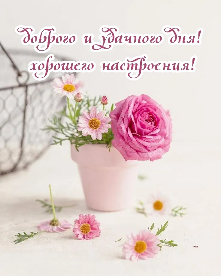 С Добрым Утром!🌺Хорошего Дня и Отличного Настроения! Сергей Чекалин! Музыкальная Открытка Пожелания - YouTube С Добрым Утром!🌺Хорошего Дня и Отличного Настроения! Сергей Чекалин! Музыкальная Открытка Пожелания - YouTube