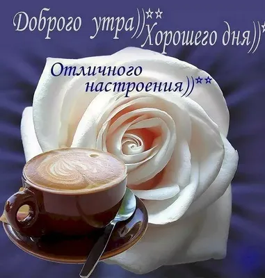 Доброго утра и хорошего настроения на весь день! — Скачайте на Davno.ru