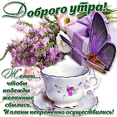 Доброе утро, друзья! Всем хорошего дня и отличного настроения! - Лента  новостей ДНР