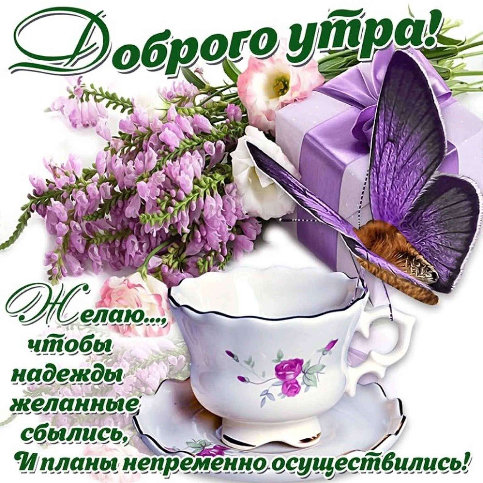 Доброе утро, друзья! Всем хорошего дня и отличного настроения! - Лента новостей ДНР Доброе утро, друзья! Всем хорошего дня и отличного настроения! - Лента новостей ДНР