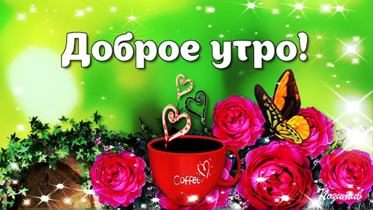С добрым утром дорогие друзья! Всем хорошего дня и отличного настроения! Будьте счастливы и здоровы. #взаимныелайки #взаимныеподписки… | Instagram С добрым утром дорогие друзья! Всем хорошего дня и отличного настроения! Будьте счастливы и здоровы. #взаимныелайки #взаимныеподписки… | Instagram