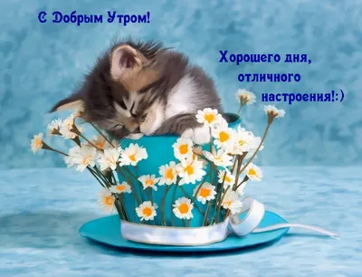 Доброе утро, соседи!. Всем хорошего дня и отличного настроения! |  27.01.2024 | Донецк - БезФормата