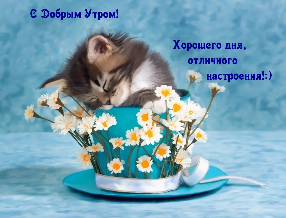 Доброе утро, соседи!. Всем хорошего дня и отличного настроения! | 27.01.2024 | Донецк - БезФормата Доброе утро, соседи!. Всем хорошего дня и отличного настроения! | 27.01.2024 | Донецк - БезФормата