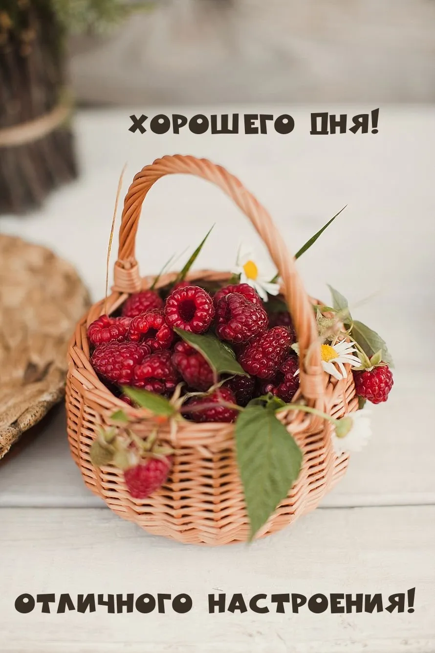 Доброе утро удачного дня - фото и картинки: 65 штук Доброе утро удачного дня - фото и картинки: 65 штук