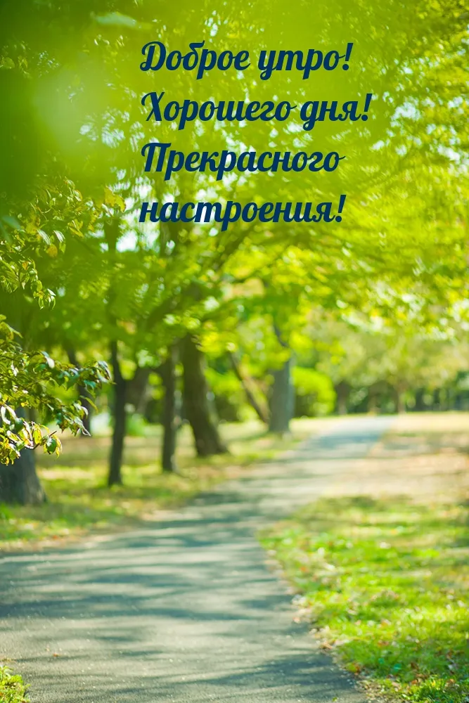 Доброе утро! Позитивного и ясного дня! | Светлана Пюро-Дятловская | Дзен Доброе утро! Позитивного и ясного дня! | Светлана Пюро-Дятловская | Дзен