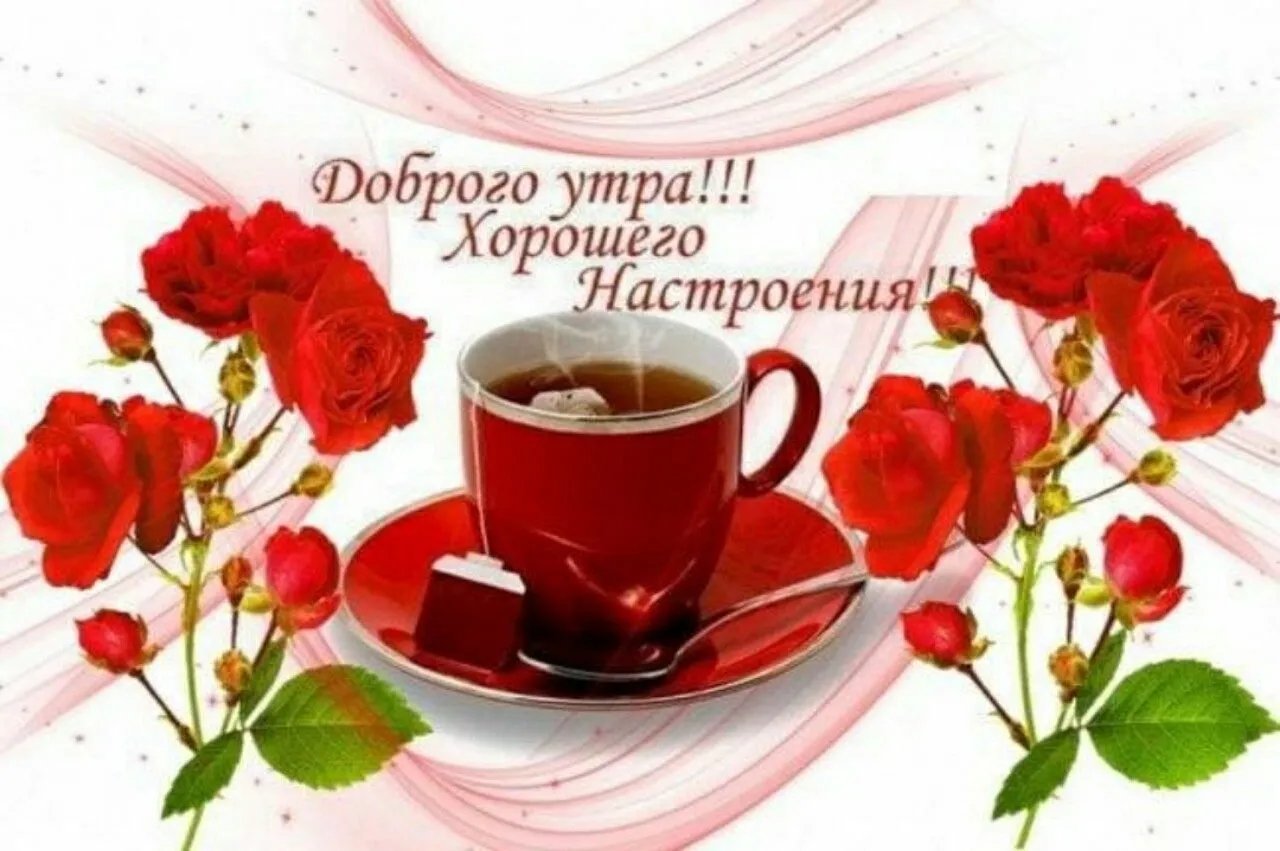 Доброе утро!Хорошего дня! Прекрасного настроения! Доброе утро!Хорошего дня! Прекрасного настроения!