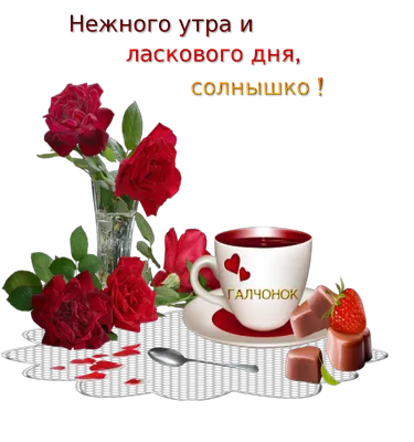 Доброе утро! Всем хорошего дня и отличного настроения! - Лента новостей  Донецка