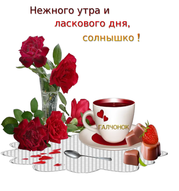 Доброе утро! Всем хорошего дня и отличного настроения! - Лента новостей Донецка Доброе утро! Всем хорошего дня и отличного настроения! - Лента новостей Донецка