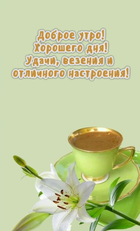 Доброе утро! Хорошего дня!☕🍁☕🍁☕🍁☕🥰😘 | TikTok Доброе утро! Хорошего дня!☕🍁☕🍁☕🍁☕🥰😘 | TikTok