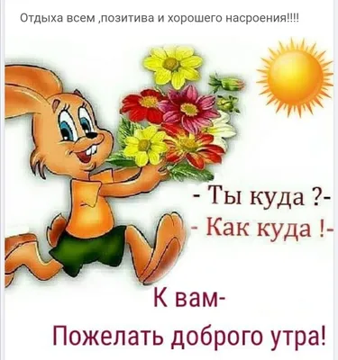 Позитивные картинки Доброе утро 😄 👇 - скачать (290 шт.)