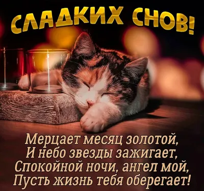 Спокойной ночи, любимый 💓 Красивое пожелание спокойной ночи! Любимому!🎵✓  - YouTube