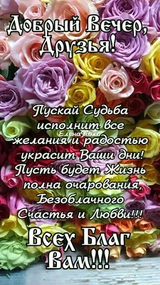 Доброго вам вечера друзья! - Доброго вечера | Открытки, С днем рождения,  Красные розы