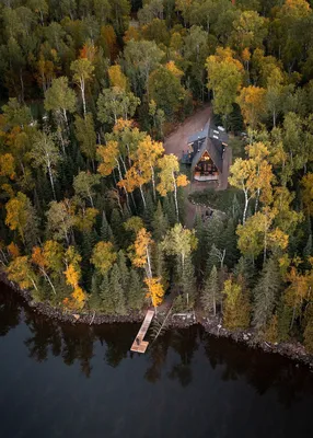 Домик в лесу картинки - 69 фото