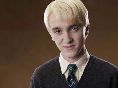 Ростовая фигура Драко Малфой (Draco Malfoy) вид 4 (660х1670мм) - купить по  выгодной цене | Магазин шаблонов Принт100