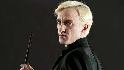 Ростовая фигура Драко Малфой (Draco Malfoy) 938х1750 мм - купить по  выгодной цене | Магазин шаблонов Принт100