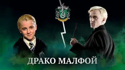 Ростовая фигура Драко Малфой (Draco Malfoy) вид 8 (635х1800 мм) - купить по  выгодной цене | Магазин шаблонов Принт100