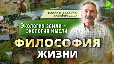 Земля: истории из жизни, советы, новости, юмор и картинки — Все посты |  Пикабу