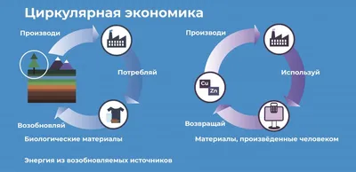 В нацпрограмму «Цифровая экономика» включены три федеральных проекта ::  Министерство цифрового развития, связи и массовых коммуникаций Российской  Федерации