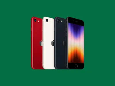 700+] Apple Wallpapers | Wallpapers.com