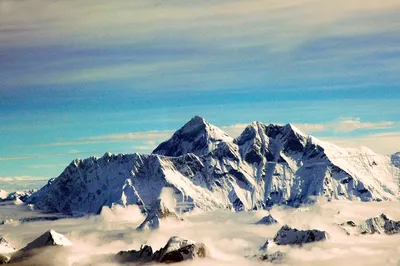 Man attempts Mount Everest from home by climbing 6,506 flights of stairs |  Euronews